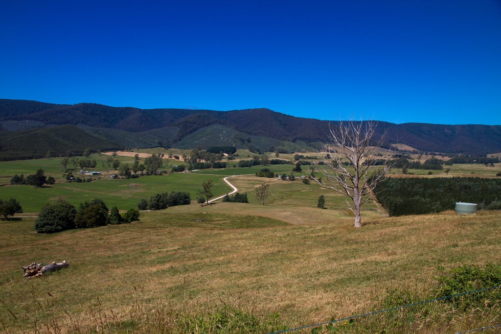 04 - Liffey Falls (6).jpg